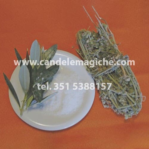 ramoscelli di erba della paura siderite