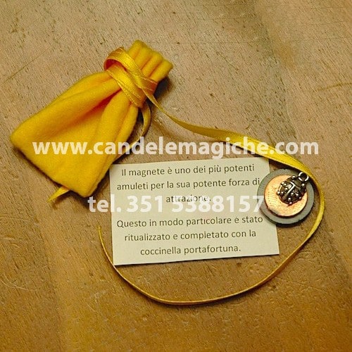 talismano con calamita attira denaro e coccinella portafortuna completo di sacchettino